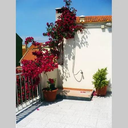 Casa Afonso ゲストハウス 4*